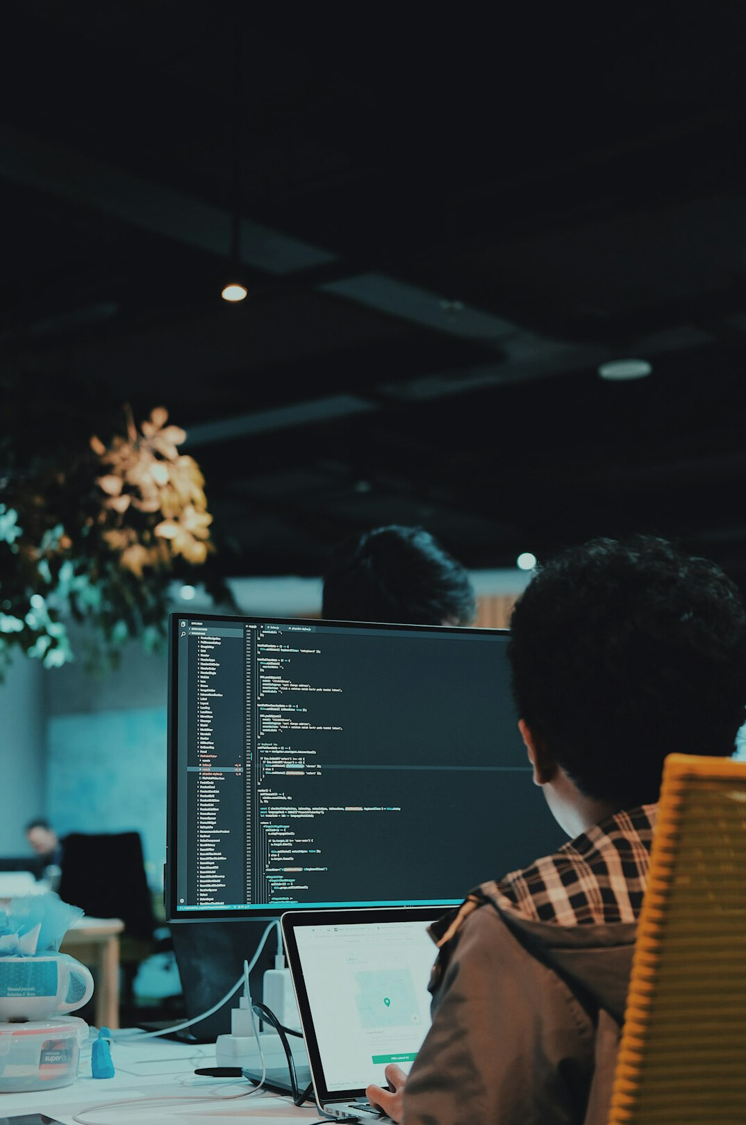 corporate software optimization